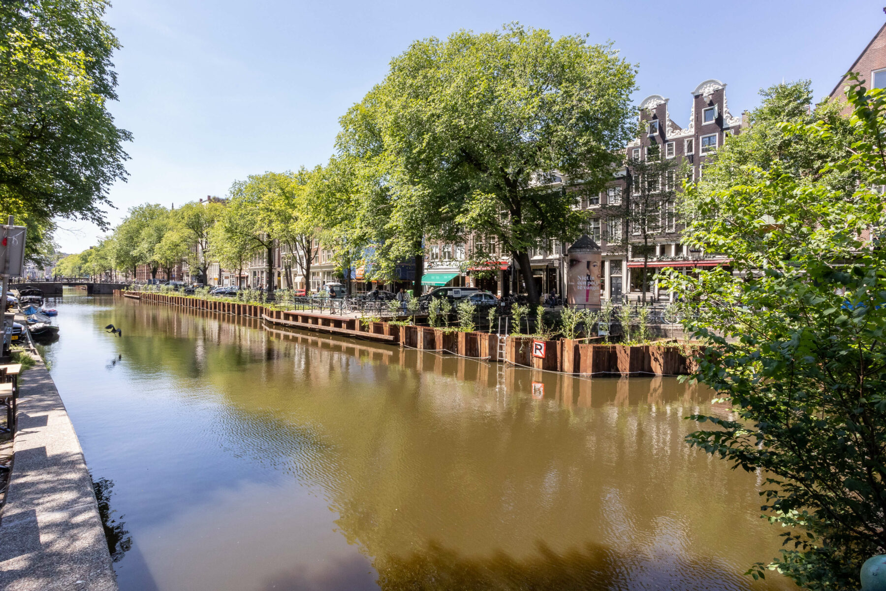 Een groene aanblik van de Kloveniersburgwal in de zomer, met bomen vol in blad en groen dat is aangeplant tussen de damwanden en de kade.