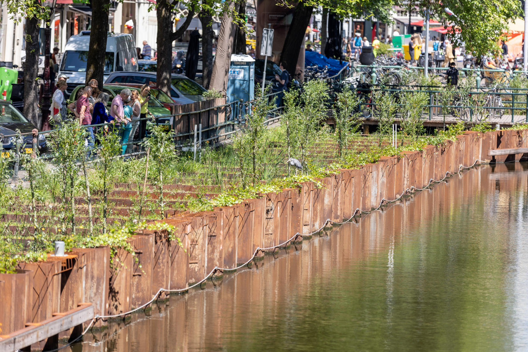 Een reiger staat in het groen op de tijdelijke versterkingsconstructie aan de Kloveniersburgwal.