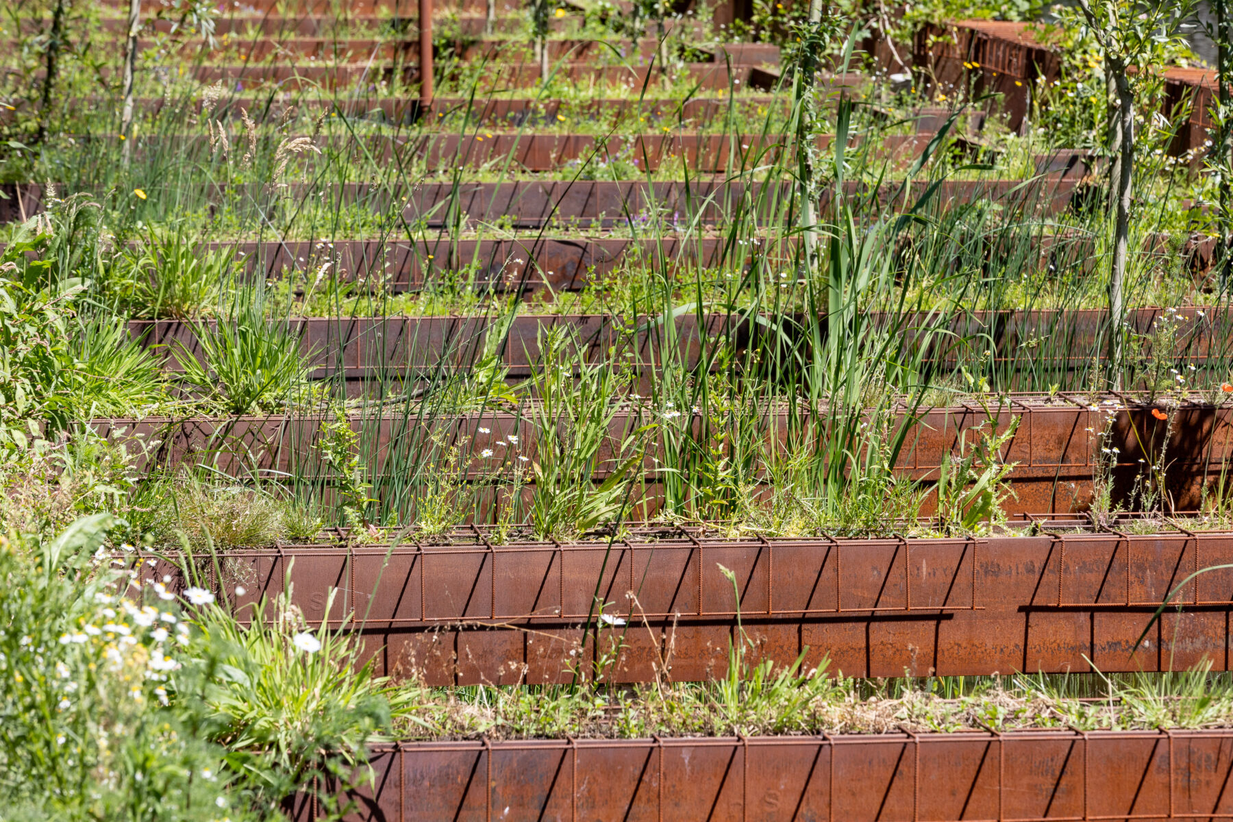 Groene planten en bomen groeien op de tijdelijk geplaatste damwanden